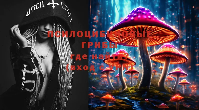 Псилоцибиновые грибы Magic Shrooms  где можно купить наркотик  Калтан 